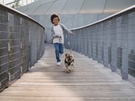 Happy ethnic boy running on bridge with cute dog